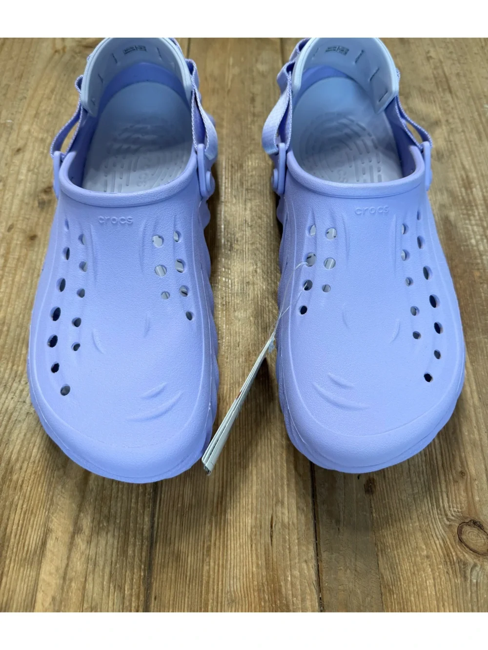 CROCS echo collection